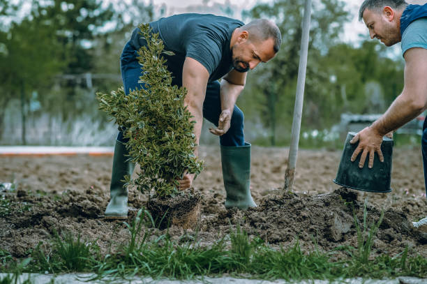 Lawn Grading and Leveling in Raymond, WI