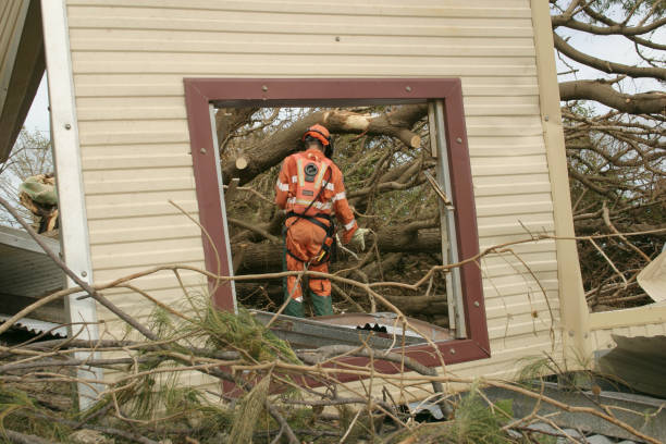 Raymond, WI Tree Care Services Company